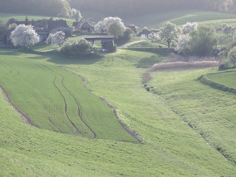 Badezimmere mit Badewanne und Dusche